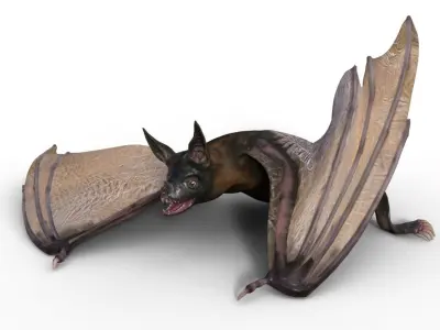 Bat Night 3D model