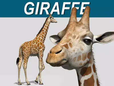 Giraffe 3D model
