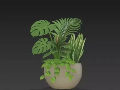 Tropical Houseplant Arrangement-Monstera- Palm - Snake Plant 3D model