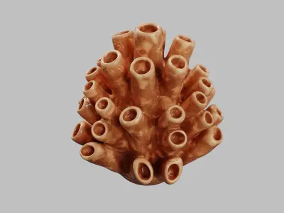 Shagun Deco 3D model