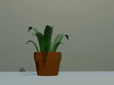 Plant in vase Free 3D model