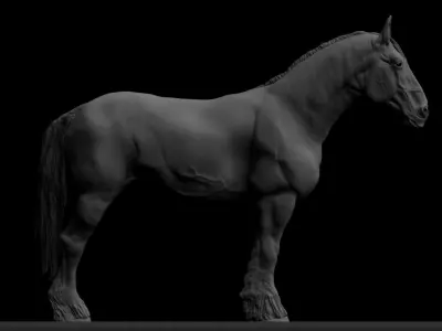Draft Horse Sculpt 3D model