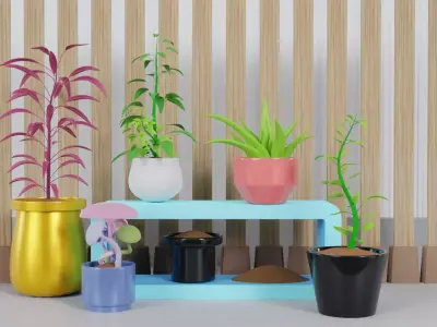 Potted Plant Set - Interior Succulent Design - 3D Model Low-poly 3D model