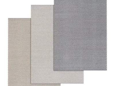 Rug Set 238 3D model