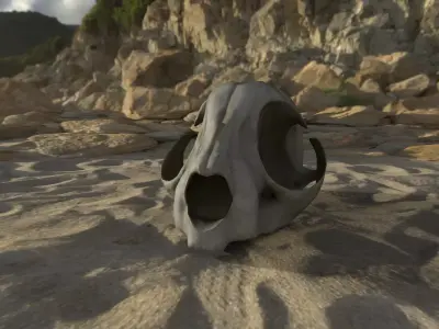  3D Real Cat Skull for GameDev 3D model Low-poly 3D model