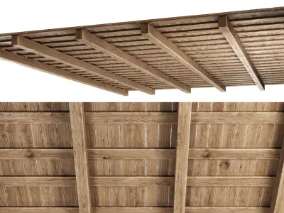 Wooden Ceiling V5  3D model