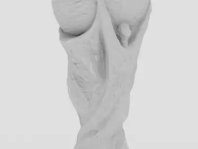 FIFA World Cup 3D model purchase