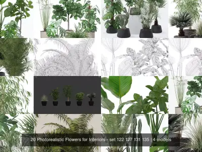 20 Photorealistic Flowers for Interiors - set 122 127 131 135 3D Model Collection