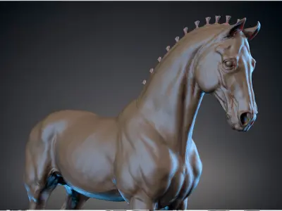 Horse Andalusian  - TPose 3D model