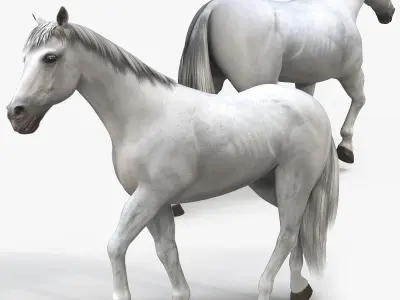 Horses PRO - 4 in 1 Bundle 3D model