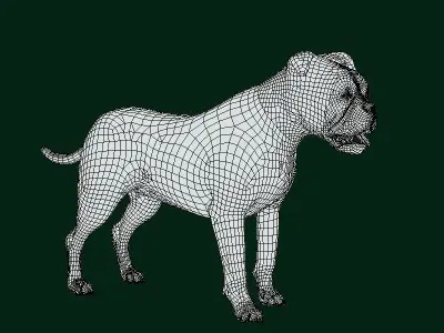 Staffordshire Bull Terrier Dog 3D model
