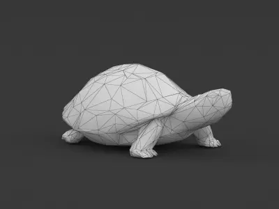 Low Poly Turtle Tortoise Low-poly 3D model