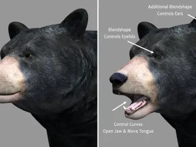Black Bear PRO 3D model