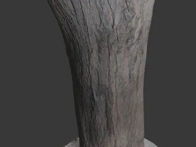 Tree Trunk 3D Scan Low-poly 3D model