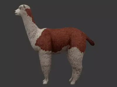 Alpaca llama Low-poly 3D model