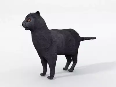 Cat Mammal Low-poly 3D model