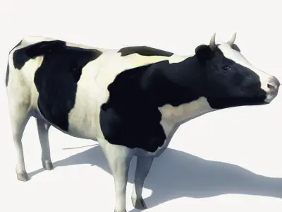 4 Animated Animals For Games Low-poly 3D model