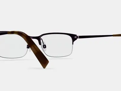 James Eyeglasses in Carbon 3D model