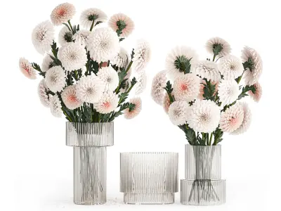 Set of white bouquets of flowers Chrysanthemum Dahlias 375 3D model