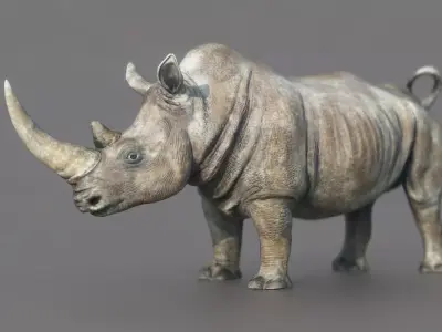 White Rhino Low-poly 3D model