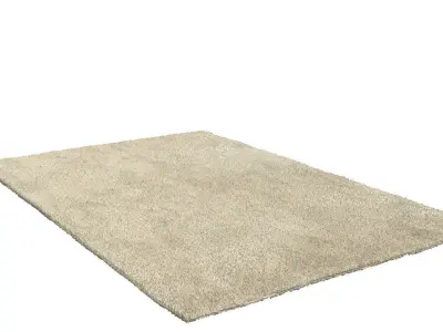 Rectangle rug  three colors 3D model