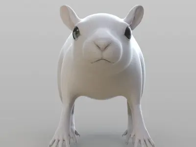 Realistic Rat rodent 3D model