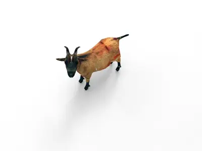 Red Goat Rigged  Low-poly 3D model