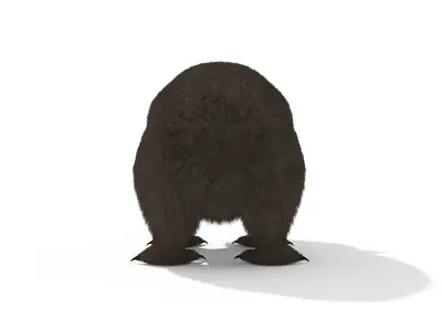 Wombat Marsupial Australian Animal 3D model