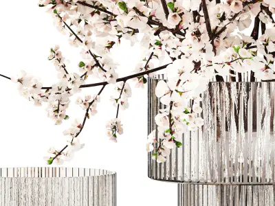 White bouquet of sakura cherry blossom branches 345 3D model