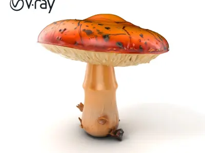 Rustic Chanterelle Mushroom Model Pack Low-poly 3D model