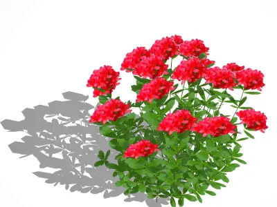 Azalea - Rhododendron - Red Low-poly 3D model