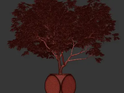 Plants Albizia 3D model