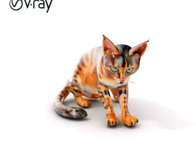 Bengal Cat Realistic Model Pack for D Design Low-poly 3D model