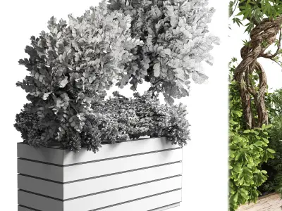 outdoor plant 18 in wood bax pot 3D model