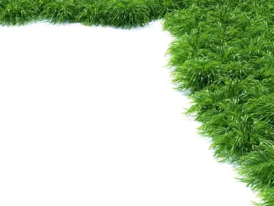  Hakonechloa macra grass vol 3 3D model