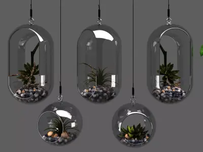detailed 3D Hanging Glass Terrarium Collection 3D model