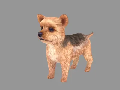 Cartoon pet puppy - Yorkshire - baby dog Low-poly 3D model