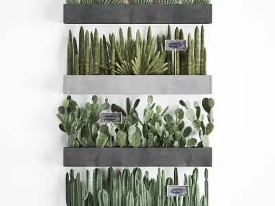 Cactus set wall decor vertical garden 43 3D model