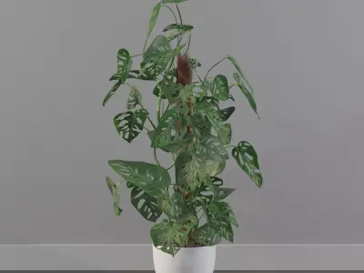 Monstera monkey mask 3D model