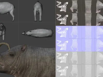 Babirusa warthog 3D model