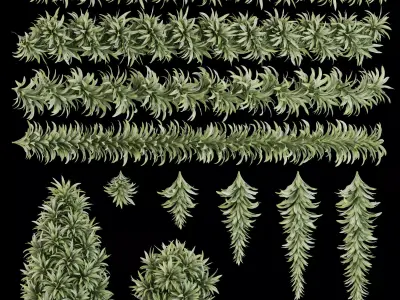 Garlands 07 Dracaena 3D model