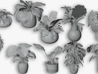 10 Realistic Indoor Plants Pack Interior Decoration Assets 3D model