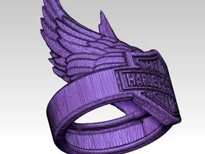 Biker Ring 3D print model