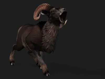 Goat-B2 3D model