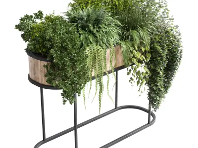 stand plant box Indoor plant 184 wood vase pot fern grass 3D model