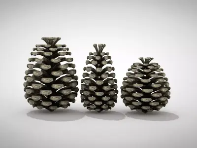 Christmas Pine Cone 3D Model 3D model