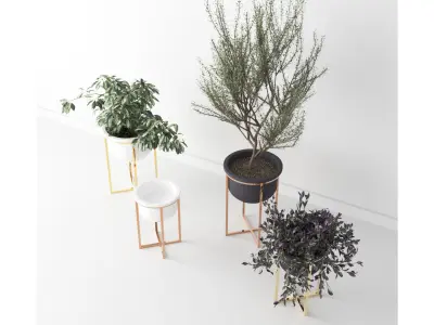 Interior Plants Trio Low-poly 3D model