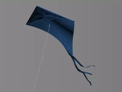 Wind Kite 3D model