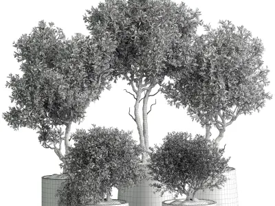 Indoor plant 02 3D model purchase
