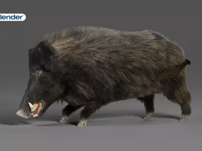 Fur Wild Boar Rigged in Blender Low-poly 3D model